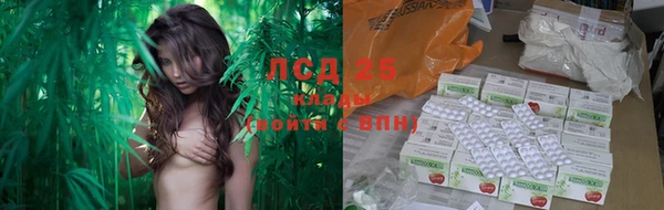кокс Алексин
