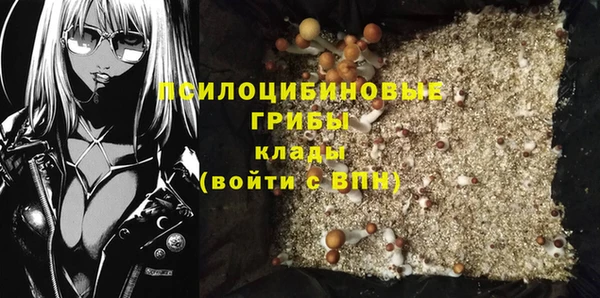 хмурый Алексеевка