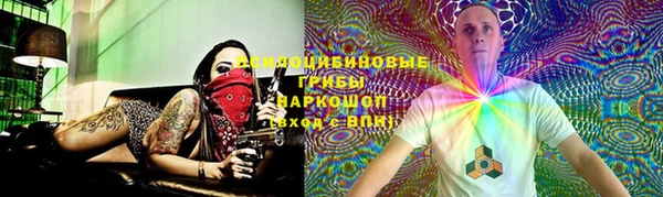 хмурый Алексеевка
