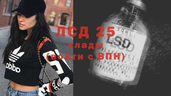 хмурый Алексеевка