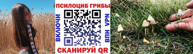 наркошоп  Когалым  Галлюциногенные грибы мицелий 